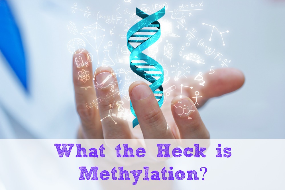 What the Heck is Methylation?