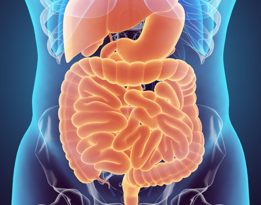 3 Ways Digestion Holds the Key to Health