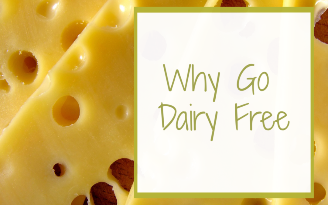 Dairy Free for Digestive Health: Do You Need to Go Dairy Free?